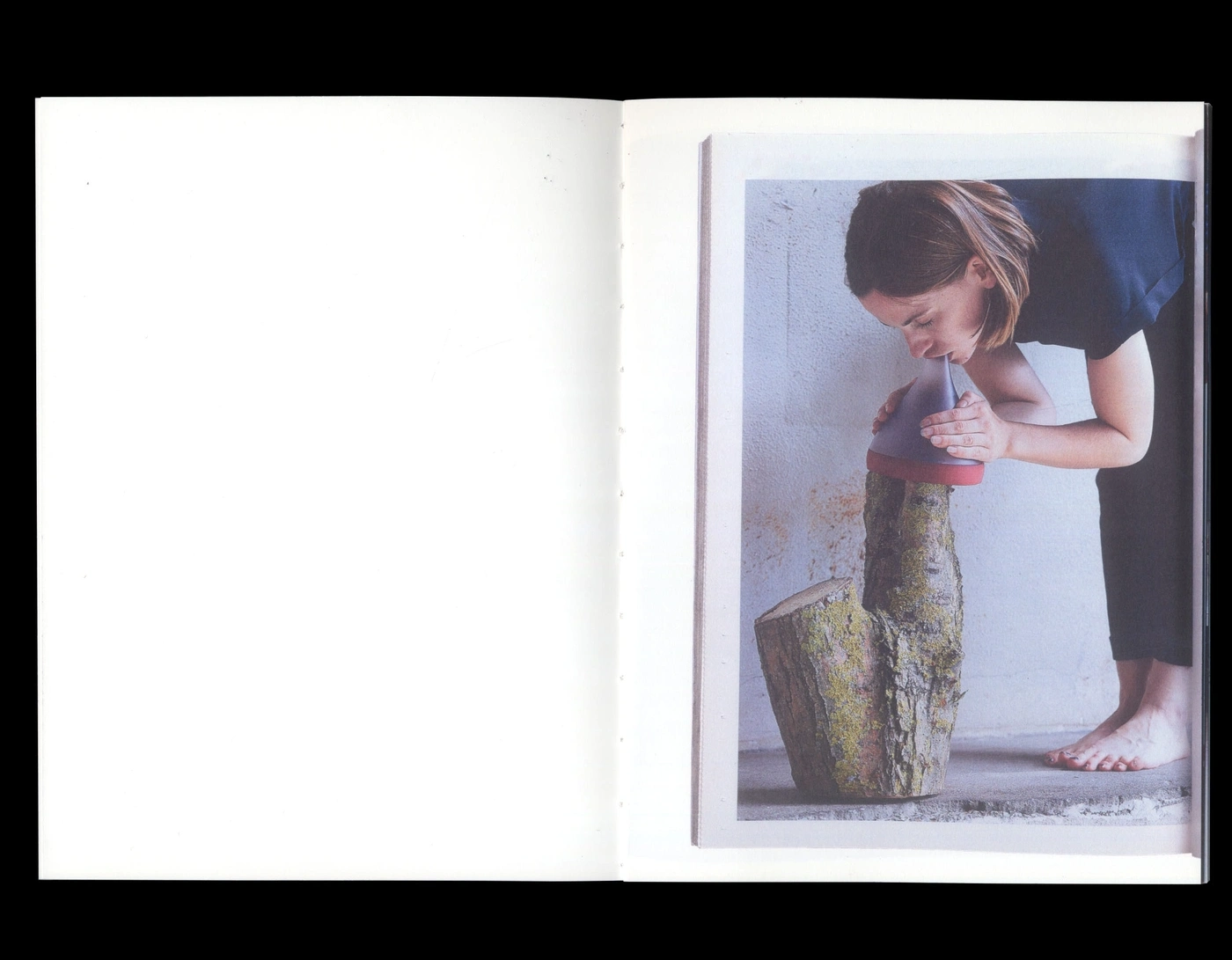 Book